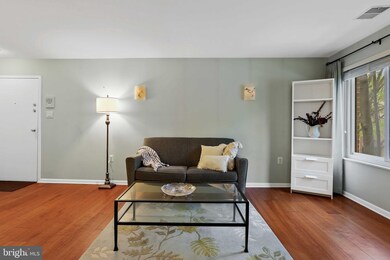 1704 Mount Washington Ct unit H, Baltimore, MD 21209 - photo 6