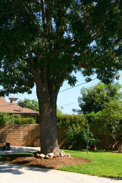 BEAUTIFUL SHADE TREES FRONT & BACK!!