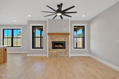 2365 Highway 81 S, Jonesborough, TN 37659 - photo 5