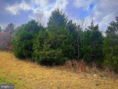 0 James Madison Hwy unit VAFQ2006766, Bealeton, VA 22712 - photo 4