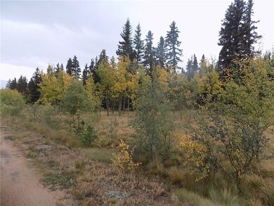 116 Falcon Rd, Como, CO 80432 - photo 2