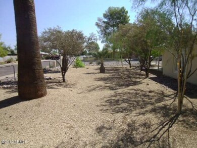 Front Side Yard