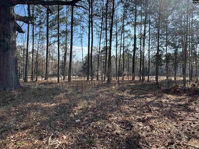 0 Misty Banks Dr unit 605235, Chapin, SC 29036 - photo 6