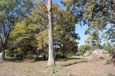 14901 Desoto Rd, Mineral Wells, MS 38654 - photo 7