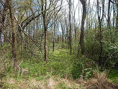 DSCN1156