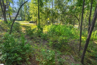 101 & 103 George Williams Dr, Easley, SC 29640 - photo 5