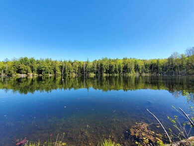 81 Earls Way, Putney, VT 05346 - photo 7
