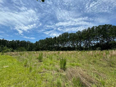 1 Confederate Hwy Parcel A, Fairfax, SC 29827 - photo 5