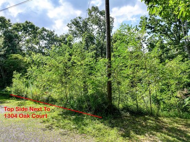 199 Tsali Way, Sevierville, TN 37876 - photo 4