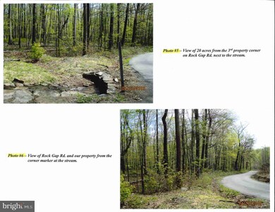 0 Cold Run Valley Rd unit WVMO2000430, Berkeley Springs, WV 25411 - photo 3