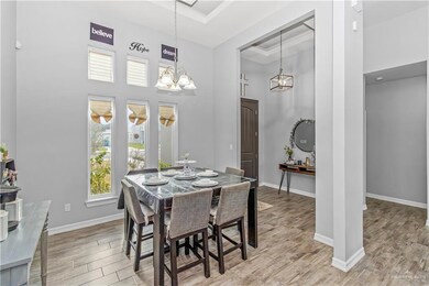 813 Hawk St, Alamo, TX 78516 - photo 3