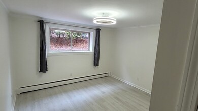 329 Harvard St unit 5, Cambridge, MA 02139 - photo 6