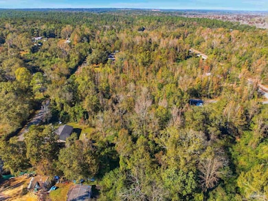 1100 McKinnonville Rd, Molino, FL 32577 - photo 7