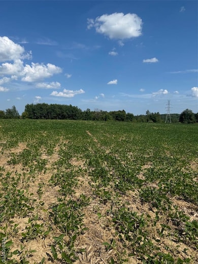 VL S Mill Rd, Dryden Township, MI 48428 - photo 3