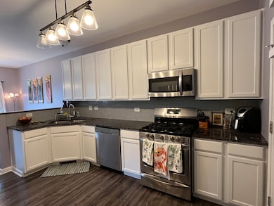 2254 Gallant Fox Cir unit 303, Montgomery, IL 60538 - photo 4