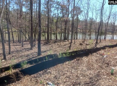 1061 Refuge Place, Chapin, SC 29036 - photo 4