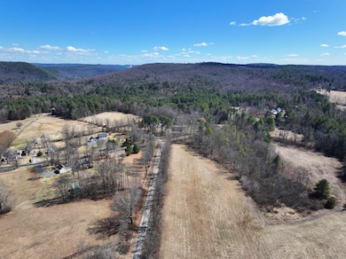 115 Old Robertsville Rd, Winsted, CT 06098 - photo 7