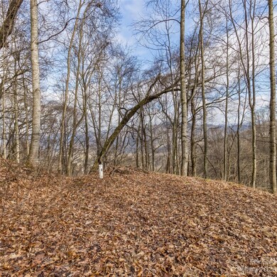 3 Michael Dr unit 3, Waynesville, NC 28785 - photo 5