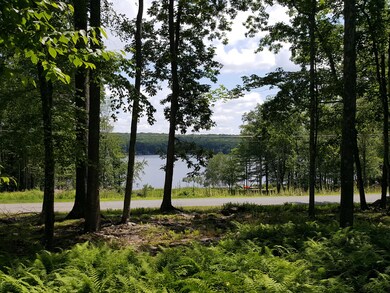 197 Fawn Lake Dr, Lackawaxen Township, PA 18428 - photo 2