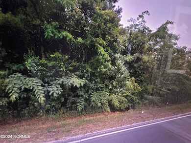 0 S Robeson Rd unit 100542098, Rowland, NC 28383 - photo 3