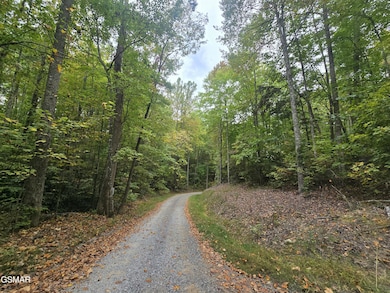 L 10/11 Bluebird Ridge Way, Sevierville, TN 37876 - photo 4