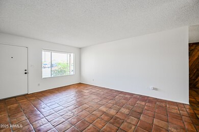 3-1252EEPD-ocupix