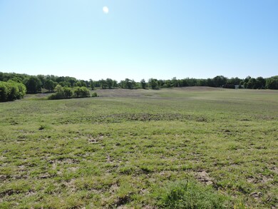 9014 Homerich Ave SW, Byron Center, MI 49315 - photo 7