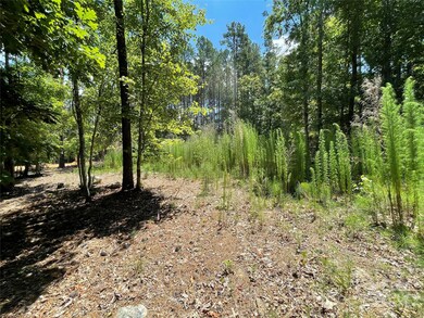 250 and 500 Cove Wood Dr unit 65, Denton, NC 27239 - photo 2