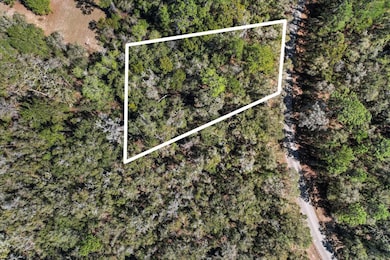 987 E Odin Dr, Citrus Springs, FL 34434 - photo 3