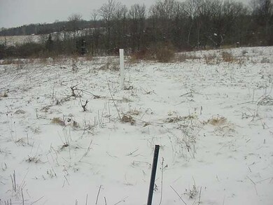 Land/Lot