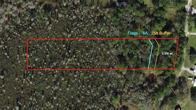 0 Westpoint Dr unit LOT474 MFRA4657322, Wesley Chapel, FL 33544 - photo 2