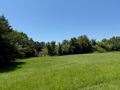 52 Coyote Creek Dr, Gordonville, TX 76245 - photo 2