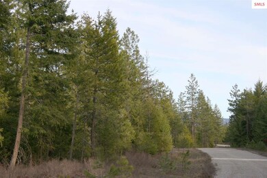 NNK B6 Northern Sky Rd, Athol, ID 83801 - photo 3