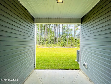 115 Crab Claw Spit Ln, Jacksonville, NC 28546 - photo 2