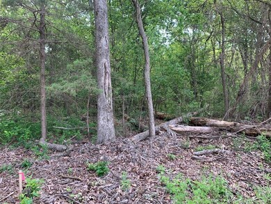 0 Jaybird Rd unit 1184110, Maysville, AR 72747 - photo 5