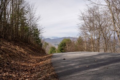 Lot 7 Ada Ridge Rd, Mineral Bluff, GA 30559 - photo 7