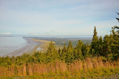Potter Valley Area in August_13