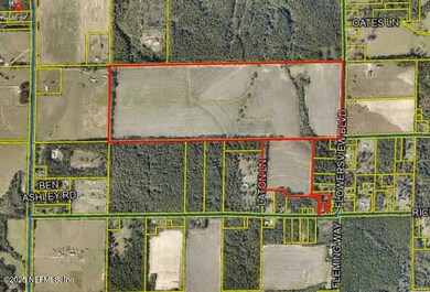 Massey 136 Acres Aeral Outline