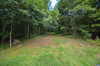 0 Dudley Mountain Rd unit 667914, North Garden, VA 22959 - photo 4