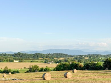 0 Lot 13 Summerset Dr unit 1307770, Talbott, TN 37877 - photo 2