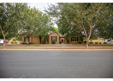 Front Yard
