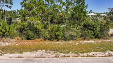 210 Stingray Ln, Port St. Joe, FL 32456 - photo 3