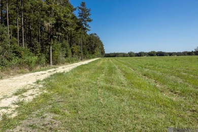 V3 Jim Price Rd, Clinton, LA 70722 - photo 3