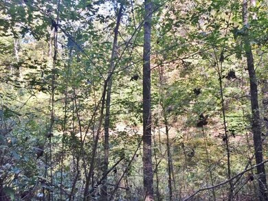 000 Candy Ln, McComb, MS 39648 - photo 4