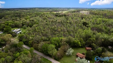 75.72 Acres Carters Gin Rd, Toney, AL 35773 - photo 5