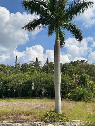 0 Palm Bluff St, Clearwater, FL 33755 - photo 4