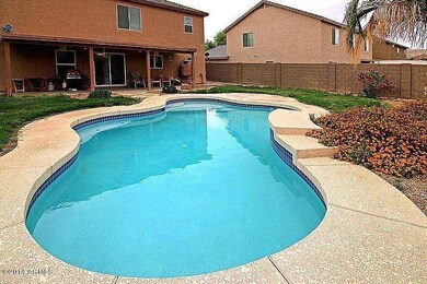 backyard_700