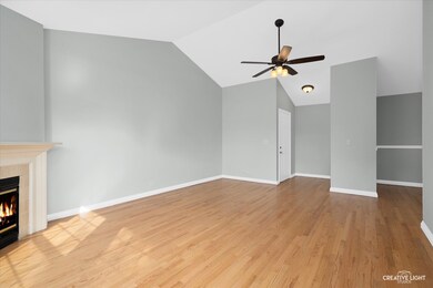 1132 Spring Garden Cir unit 32, Naperville, IL 60563 - photo 3