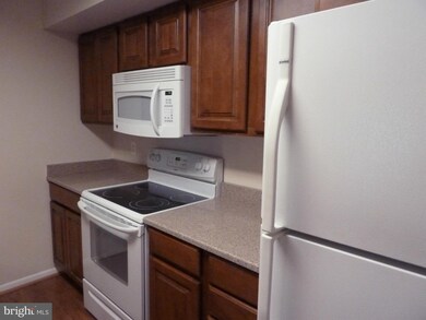 1704 Mount Washington Ct unit M, Baltimore, MD 21209 - photo 4