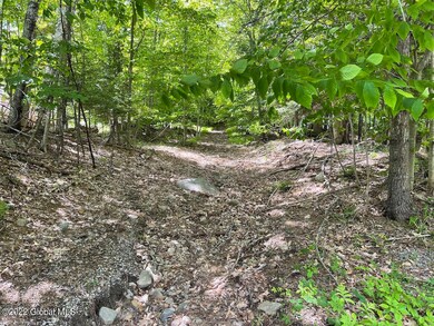 00 S Shore Rd, Day, NY 12835 - photo 3